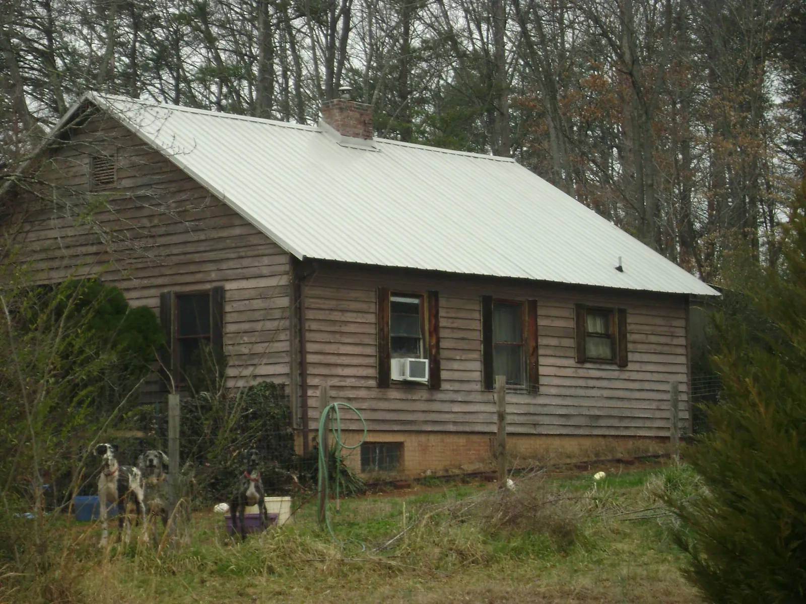 White metal roof on an old wood sided farmhouse, from a Asphalt Shingle Roof Repair job in Pollocksville
